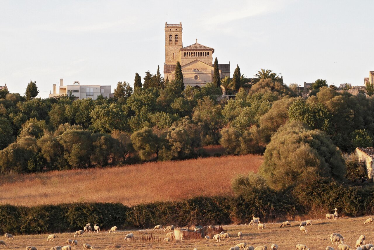 Santuario de Bonany monastery overlooking Mallorca fields
