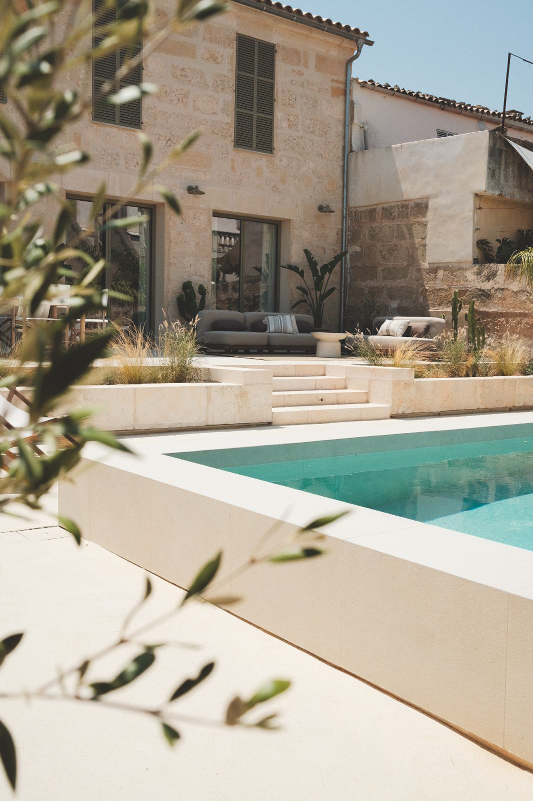 Swimming pool with palm trees, cacti and stone wall